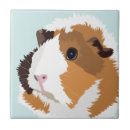 Recherche de cobaye carreaux Cavy