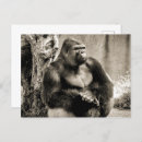 Recherche de monochromatique cartes postales Noir et blanc