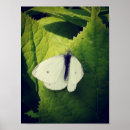 Recherche de lignes blanches posters Family