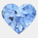 Zoek naar hydrangea hortensia stickers Blauwe bloemen
