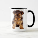 Recherche de yorkshire terrier tasses Café