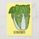 Recherche de choux cartes postales Légume