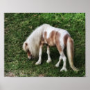 Recherche de rêve photographie Pour enfants