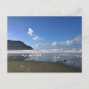 Recherche de mousse mer cartes postales Bord de mer