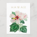 Recherche de état de hawaii cartes postales Vintage