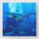 Recherche de shark posters Sea