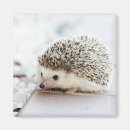 Recherche de minuscule magnets Adorable