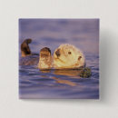 Recherche de loutre mignonne badges Faune