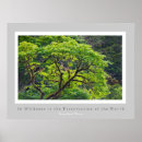 Recherche de citations henry david thoreau posters Nature