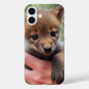 Recherche de coyote iphone coques Animal