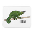 Recherche de jackson magnets Lézard