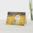 Recherche de renoncule vœux cartes Fleurs jaunes