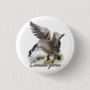 Recherche de oies badges Oie canadienne