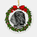 Zoek naar dachshund ornamenten Hondenkunst