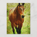 Recherche de gélatine cartes postales Gélatinage