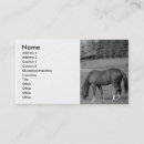 Recherche de beau cheval cartes visite Imaginaire