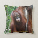 Recherche de orang outan décoration coussins Orangs outans