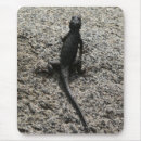 Recherche de lézard tapis souris Animal