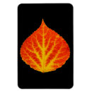 Recherche de feuille rouge magnets Automne