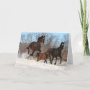 Zoek naar sneeuw paard kaarten Lopen