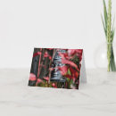 Zoek naar boedha kaarten Boeddhisme