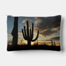 Recherche de saguaro accessoires Nature