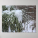 Recherche de aiguilles de pin art Arbre