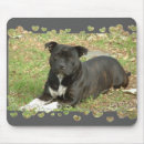 Recherche de bull terrier tapis souris Taureau