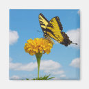 Recherche de de papillon de machaon refrigérateur magnets Nature