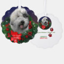 Recherche de pioche vœux cartes Chien