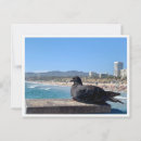 Recherche de santa monica cartes postales Photographie