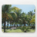 Recherche de climat tropical tapis souris Horizontal