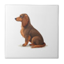 Recherche de illustration de loup carreaux Chiot
