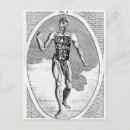 Recherche de lucifer cartes postales Vintage