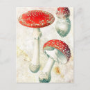 Recherche de morelle cartes postales Rouge