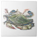 Recherche de décor de de plage carreaux Fruits de mer