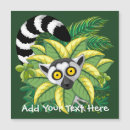 Recherche de primate magnete Madagascar