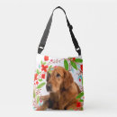 Recherche de golden retriever accessoires Rouge