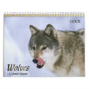 Recherche de loups calendriers Nature