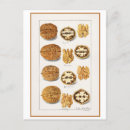 Recherche de aquarelle vintage cartes postales Illustration