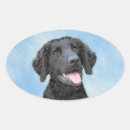 Recherche de courbe autocollants Noir