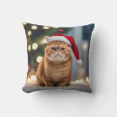 Recherche de chats domestiques coussins Humour