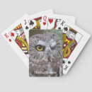 Recherche de hibou jeux de cartes Observation d'oiseau