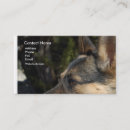 Recherche de bergers allemands cartes visite Gsd
