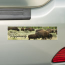 Recherche de bison voiture autocollants Faune