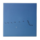 Zoek naar blauwe hemel tegels Maan