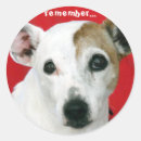 Recherche de jack russell terrier autocollants Terriers
