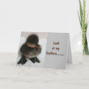 Zoek naar eendje verjaardagskaarten Fotografie