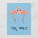 Zoek naar florida keys briefkaarten Flamingo