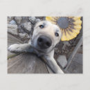 Zoek naar buren briefkaarten Schattig